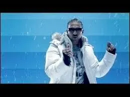 Qui chante "Temperature" en 2006 ?