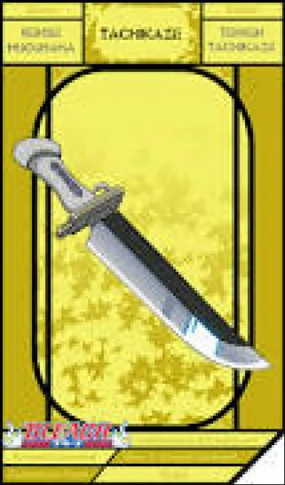 Quel est le zanpakuto de Kensei Muguruma ?