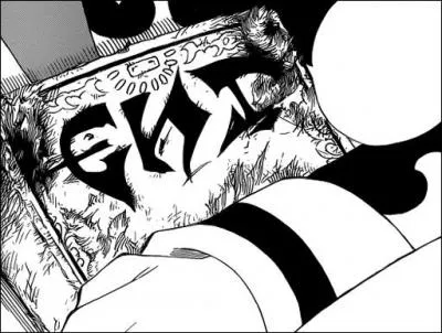Dans Fairy Tail, que signifie E.N.D ?
