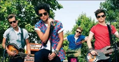 De quelle chanteuse le groupe est-il fan ?