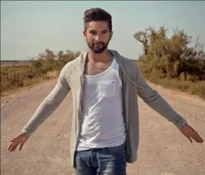 Qui est ce chanteur ?