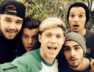 Quel chanteur est parti du groupe One Direction ?