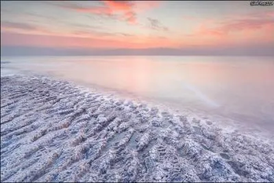 Pour qui le jour s'est-il levé sur une étrange idée ?