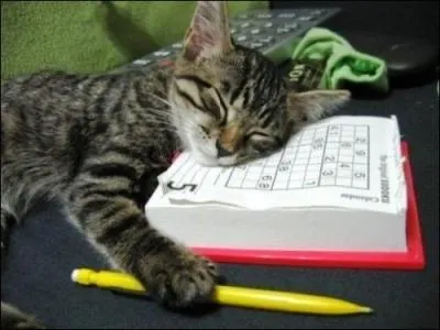 Je vous vois épuisés, à bosser sur Quizz Biz toute la journée ! Entre le jeu, les créations, les corrections, vous n'en pouvez plus !