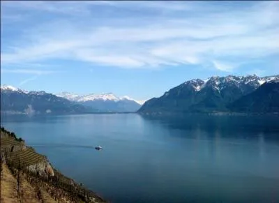 Quel lac (en Suisse) est populaire par sa grandeur ?