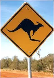 De quel côté de la route les Australiens conduisent-ils ?
