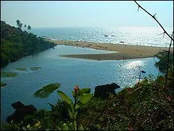 Quelle nation européenne s'installa à Goa, en Inde ?