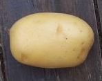 Quiz Legumes