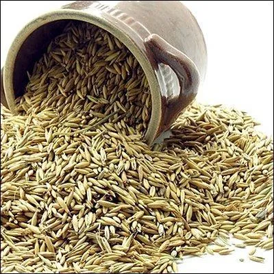 De quelle céréale s'agit-il ?