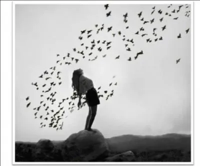 Pourquoi s'est-il fait mal en s'envolant ?