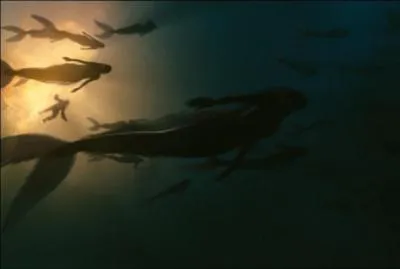 A la fin, quand Serena emmène le religieux sous l'eau, que lui fait-elle ?