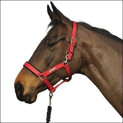 Comment s'appelle cet objet ?