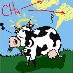 Le méthane est un puissant gaz à effet de serre fabriquée par des bactéries qui vivent dans des milieux sans oxygène (marais, décharges de déchets, estomac des mammifères...). Mais quel est son impact sur l'effet de serre par rapport au dioxyde de carbone ?