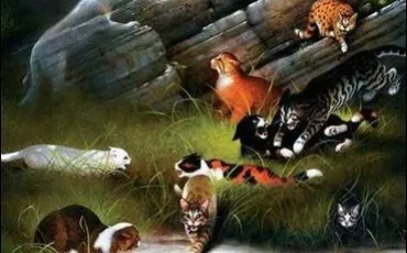 Quiz La guerre des clans