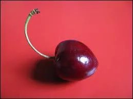 Vous reprenez bonne mine !