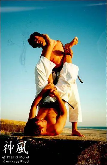 Dans quels sports parle-t-on de clé articulaire ?