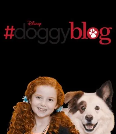 Dans "Doggyblog", quelle est la particularité de la famille Jennings ?