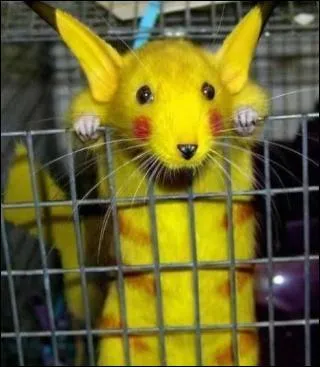 Celui-ci m'a donn&eacute; du mal, mais finalement je l'ai trouv&eacute; !