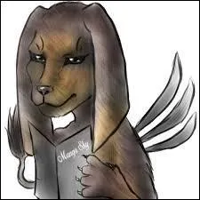 Un youtubeur qui nomme ses titres de vidéos "Manga Sky". Qui est-ce ?