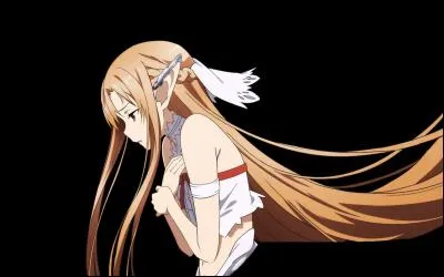 Toujours dans la deuxième partie de la saison 1, Asuna est encore dans le coma, alors que plusieurs autres joueurs du jeu mortel se sont réveillés. Pourquoi ?