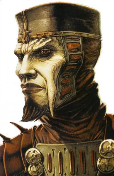 Qui était Naga Sadow ?