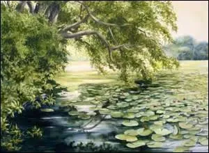 Laissons les nénuphars en paix, et disons comme le poète : "Restez cachés aux ---- des rivières".