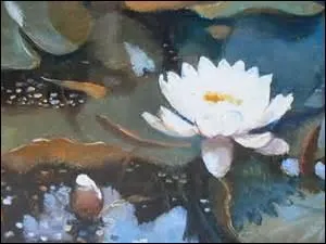 Pour les nénuphars délicatement posés sur des eaux endormies et rêveuses, qu'est-ce que rêver ?