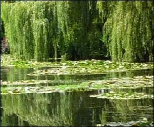 Pour protéger leur blancheur et leur pureté originelle, que désire le poète et que dit-il aux nymphéas du plus profond de son cur ?