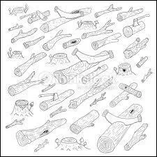 Quelle est la couleur du bois de sapin ?