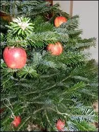 À l'origine, la tradition du sapin de Noël était déjà chrétienne.