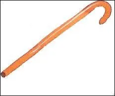 Il a toujours sa canne avec lui sur scène lorsqu'il interprète son tube "Born to be Alive", il s'agit de...