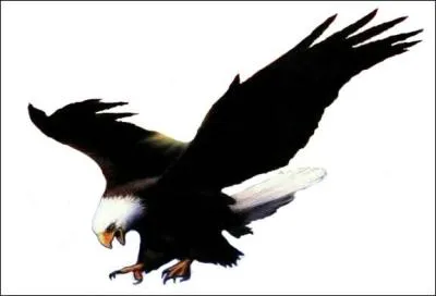 Elle chantait "L'aigle noir" dans les années 70, il s'agit de...