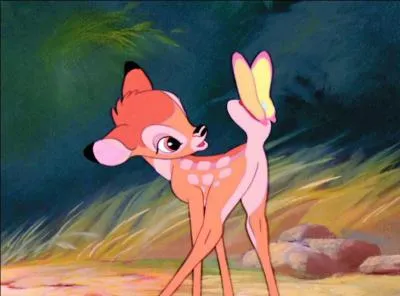 C'est le prince de la forêt. Au début de l'histoire, il ne connaît pas vraiment son père.
Ce personnage porte le nom du Walt Disney dans lequel il apparaît.
Qui est-il ?