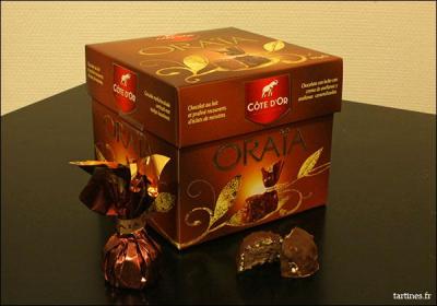 De quelle origine sont les chocolats "Côte d'or' qui font désormais partie du groupe Mondelēz International ?