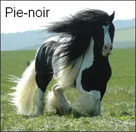 Quelle est cette robe ? (grosse aide)