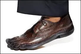 Vous avez trouvé exactement ce dont vous aviez besoin ! Qu'avez-vous trouvé à votre pied ?