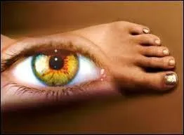 Vous êtes en pleine forme et votre santé est excellente ! Vous avez bon pied, bon...