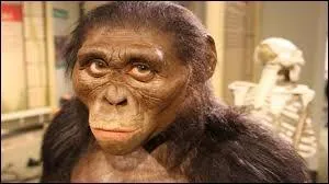 Quel autre nom donne-t-on à Lucy ?