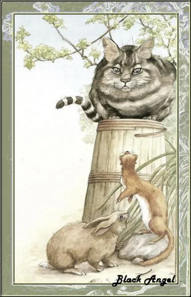 Cadeau de la SPA ! Que vous inspire l'image ?