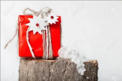 Mon cadeau de Noël ! Lequel de ces temps est synonyme de cadeau ?