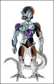 De quel manga est-il ?