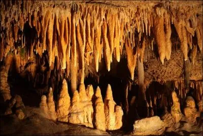 Les "stalagmites" se forment à partir de la voûte d'une grotte calcaire.