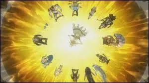 Quel est le nom de la magie qui combine tous les Esprits du Zodiaque ?