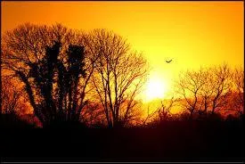 Dans quelle direction le soleil se lève-t-il ?