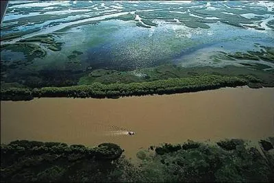 Quelle proportion de la population américaine vit à l'est du Mississipi ?