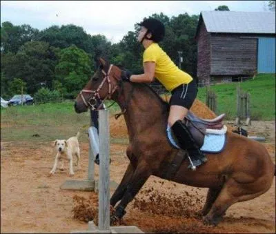 - "Saute ! ", -"Nan ! " , - "Cheval dire à mon père ! "... Et que devient la suite ?