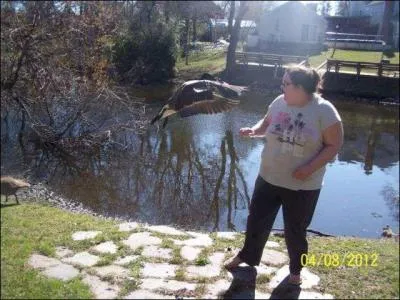 Comment va se terminer cette scène hitchcockienne ?