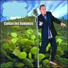 En 2001, quel animateur de télé nous a pondu le magnifique tube "Cuitas les bananas" ?