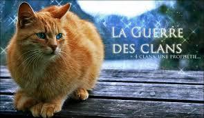 Quiz Guerre