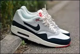 Comment s'appelle ce mod&egrave;le de Nike ?